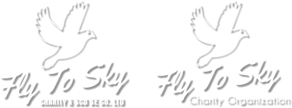 Fly To Sky